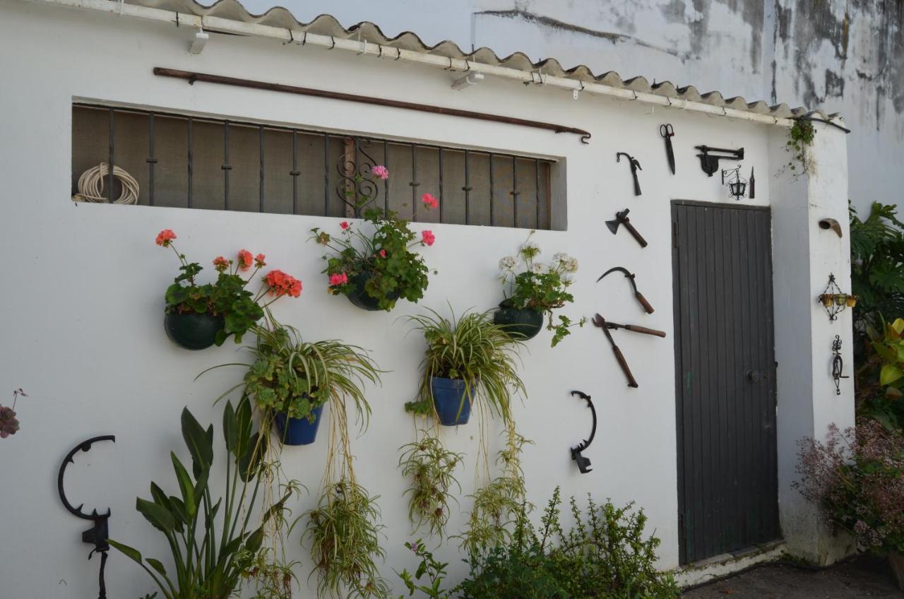 Apartamento Casa Miler Sanlúcar de Barrameda Exterior foto